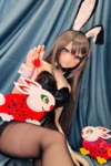 Hoshi-Playboy-Bunny-Aniem-Sex-Doll-155cm-2