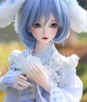 bjd sex doll